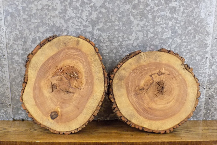 2- Rustic Round Cut Live Edge Ash Centerpiece/Craft Pack Slabs 12360-12361
