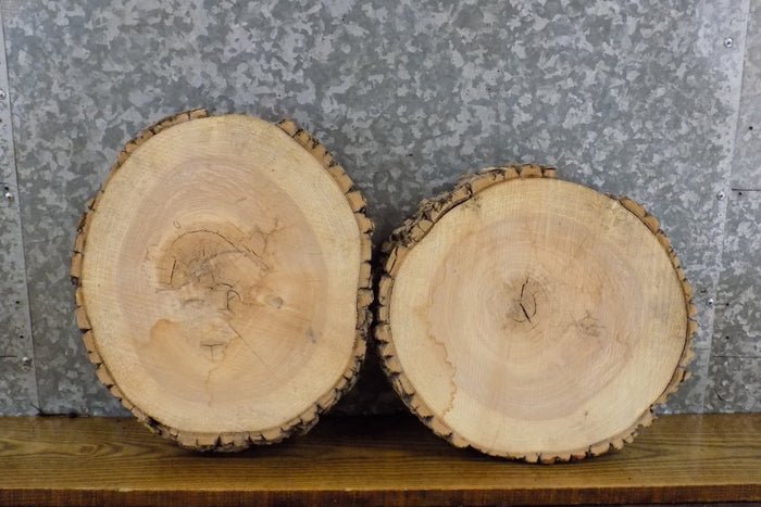 2- Rustic Round Cut Live Edge Ash Centerpiece/Craft Pack Slabs 12360-12361