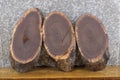 3- Live Edge Oval Cut Black Walnut Taxidermy Bases/Craft Pack 12553-12555
