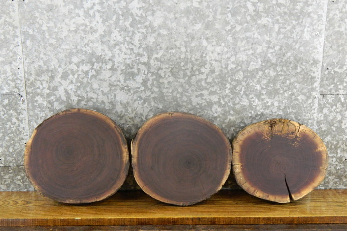3- Round Cut Live Edge Black Walnut Rustic Centerpiece Slabs 12500-12502