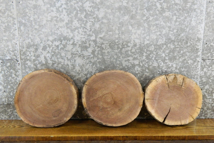 3- Round Cut Live Edge Black Walnut Rustic Centerpiece Slabs 12500-12502