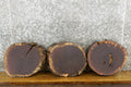 3- Rustic Black Walnut Live Edge Round Cut Slabs 12415-12417