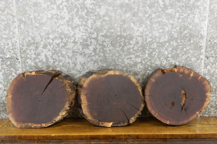 3- Rustic Black Walnut Live Edge Round Cut Slabs 12415-12417