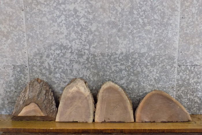 4- Round Cut Live Edge Black Walnut Craft Pack Slabs CLOSEOUT 12437-12440