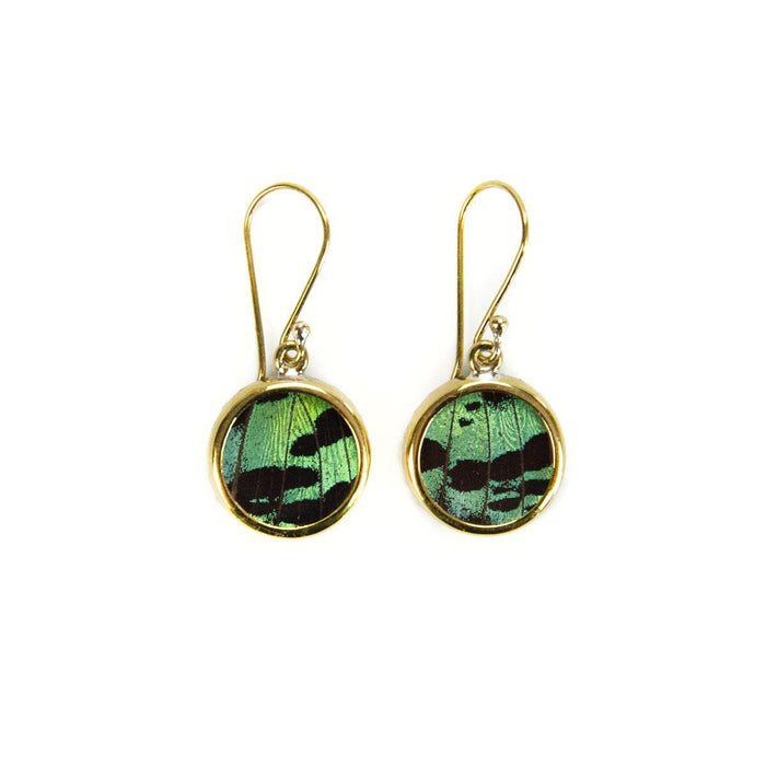 A pair of earrings featuring circular pendants with butterfly wing patterns enclosed within a gold-colored frame, attached to hook closures.