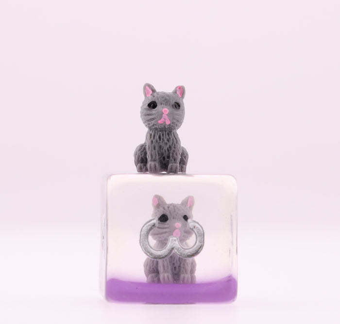 Cozy Cat RPG Dice Set Plastic Dice Foam Brain Games