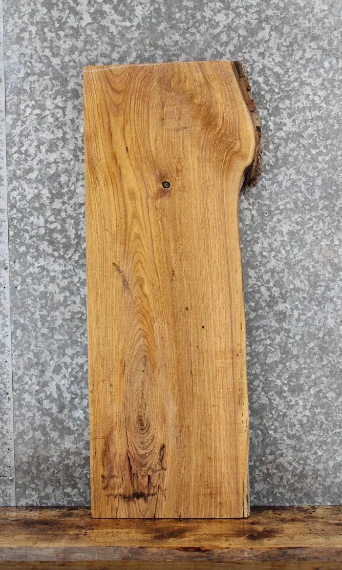 Live Edge Red Oak Console Table Top Slab/ Floating Shelf 543