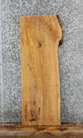 Live Edge Red Oak Console Table Top Slab/ Floating Shelf 543