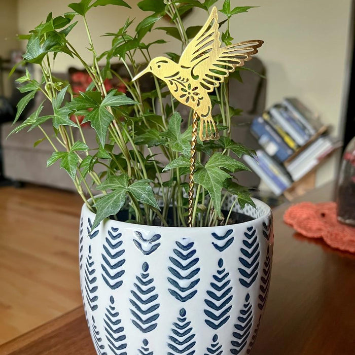 Potted plant with a decorative hummingbird stake on a wooden surface