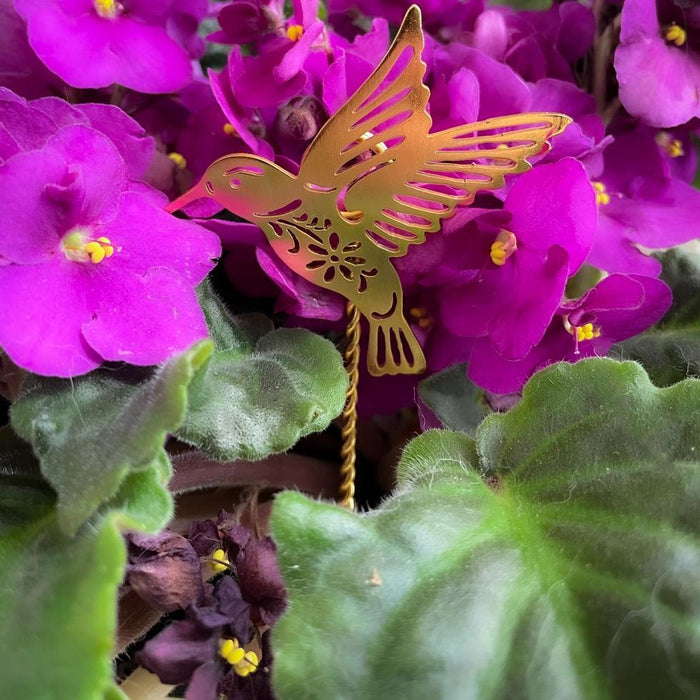 Purple African violet flowers with a decorative hummingbird plant stake.
