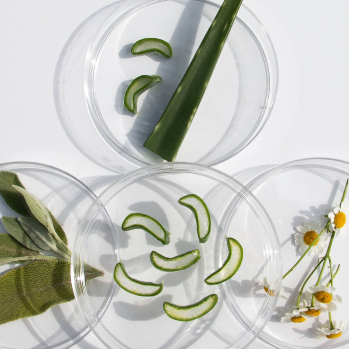 Naturale Hair Care Essentials