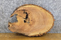 Oval Cut Live Edge Bark Ash Centerpiece Wood Slab CLOSEOUT 12540