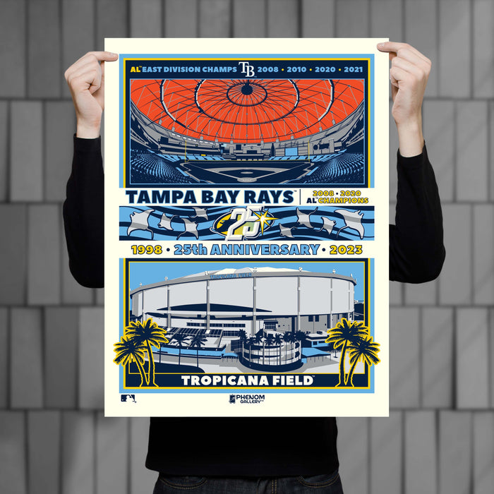Phenom Gallery Tampa Bay Rays 25th Anniversary 18" x 24" Deluxe Framed Serigraph