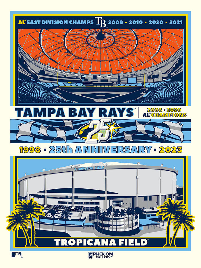 Phenom Gallery Tampa Bay Rays 25th Anniversary 18" x 24" Deluxe Framed Serigraph
