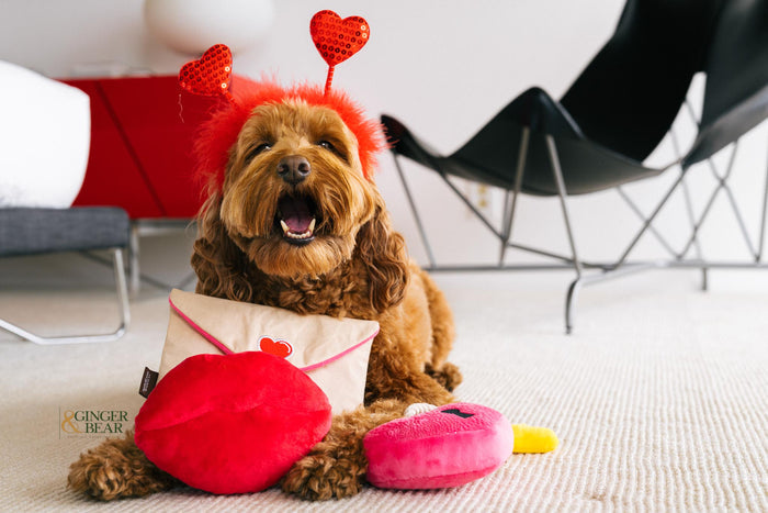 P.L.A.Y. Love Bug Squeaky Plush Dog toys, Ruv Letter