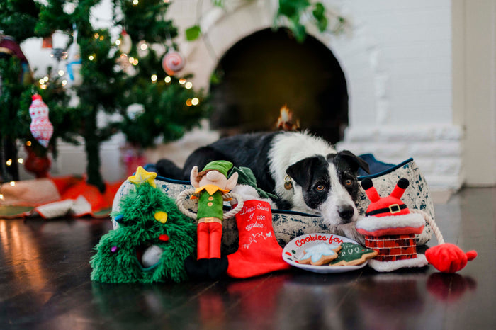 P.L.A.Y. Merry Woofmas : Squeaky Interactive Dog Toys Bundle