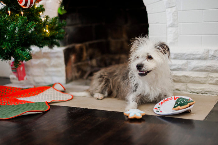 P.L.A.Y. Merry Woofmas : Squeaky Interactive Dog Toys Bundle