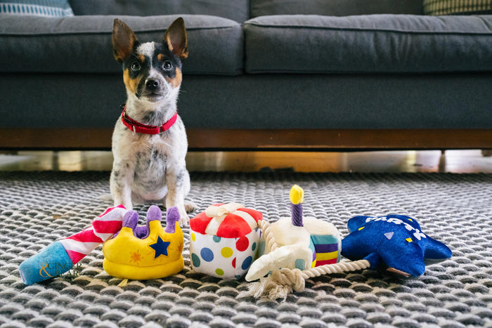 P.L.A.Y. MINI Party Time Plush Dog toys, Bone Appetite Cake (mini sized)