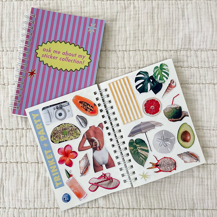 Pocket Sticker Book: Pink/Blue