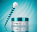 Poudre Trans-luscent + Pinceau