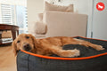 [Pre Order]Lounge Dog Bed: Urban Denim Medieval Blue / Mandarin
