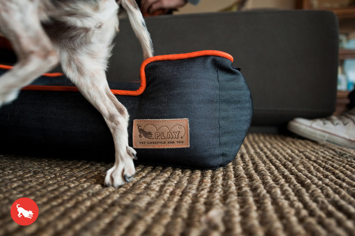 [Pre Order]Lounge Dog Bed: Urban Denim Medieval Blue / Mandarin