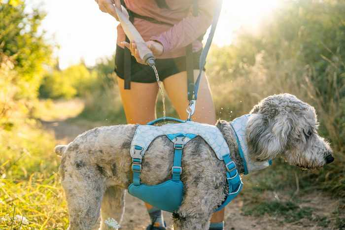 Ruffwear Dog Cooling Swamp Cooler Harness Protection from heat