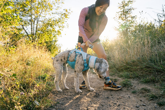 Ruffwear Dog Cooling Swamp Cooler Harness Protection from heat