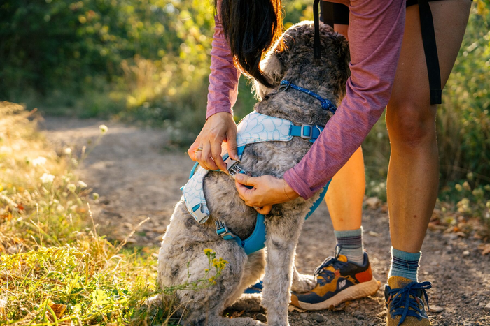Ruffwear Dog Cooling Swamp Cooler Harness Protection from heat