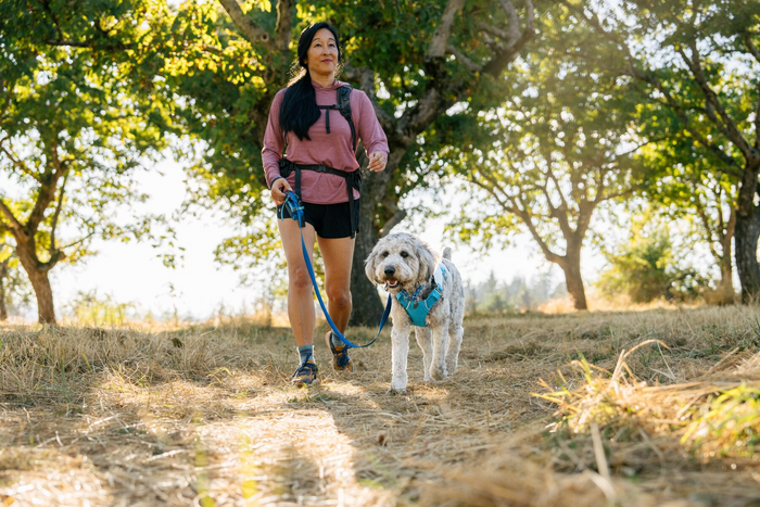Ruffwear Dog Cooling Swamp Cooler Harness Protection from heat