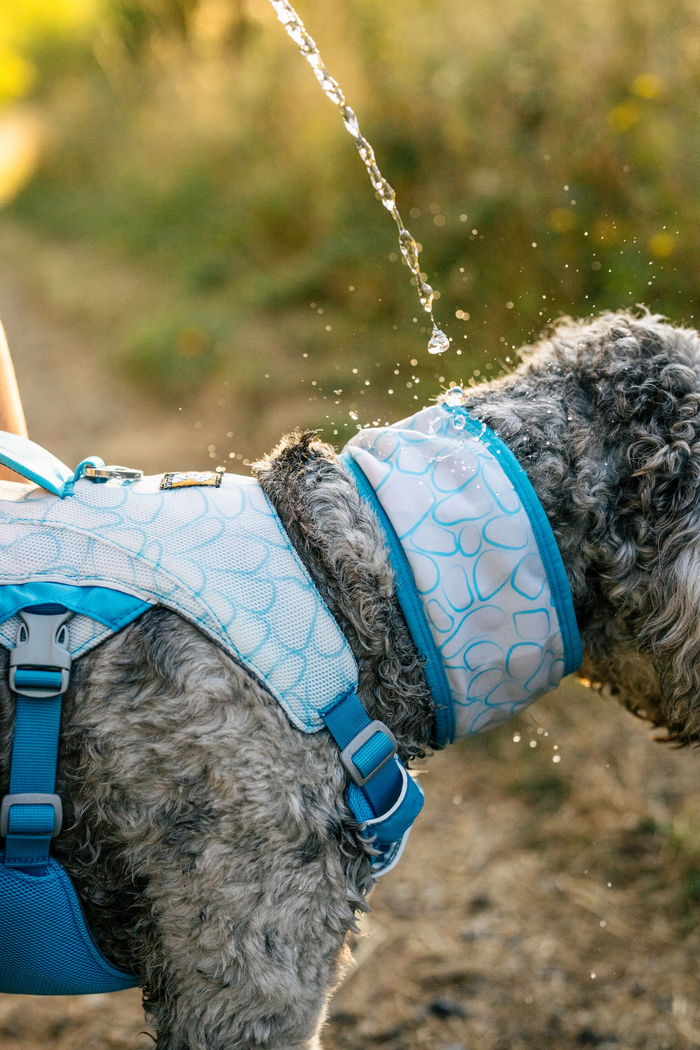 Ruffwear Dog Cooling Swamp Cooler Harness Protection from heat