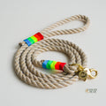 Rugged Hudson Dog Leash: Rainbow on Natural rope