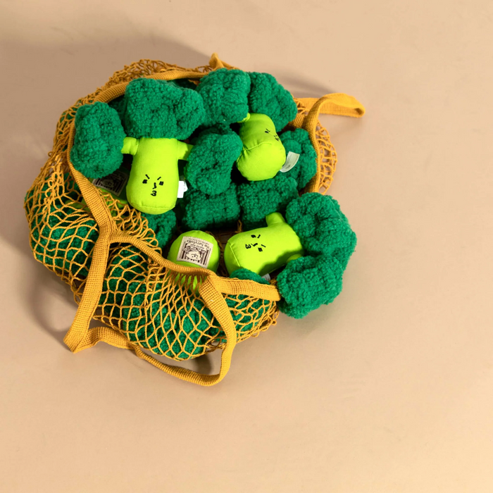 Squeaky Interactive Nosework Dog Toy, Broccoli