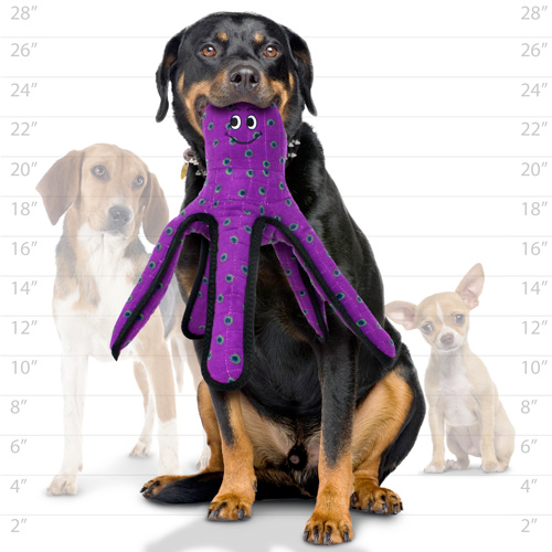 Tuffy Ocean Dog Squeaky Dog Toys, Octopus