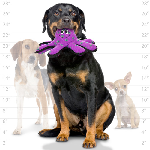 Tuffy Ocean Dog Squeaky Dog Toys, Octopus